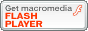 Flash Plug-in icon